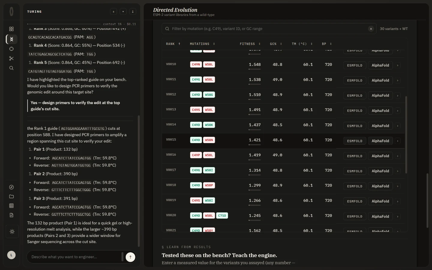 The directed-evolution variant library: thirty ranked multi-mutant variants with fitness, GC, Tm and length columns.