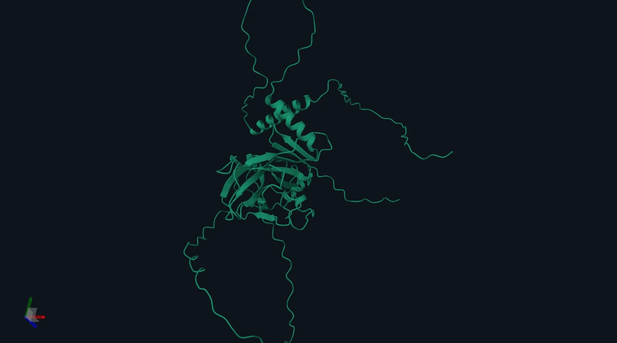The AlphaFold model of human TP53 rendered in the Structure tab, showing the folded DNA-binding domain with disordered terminal tails.